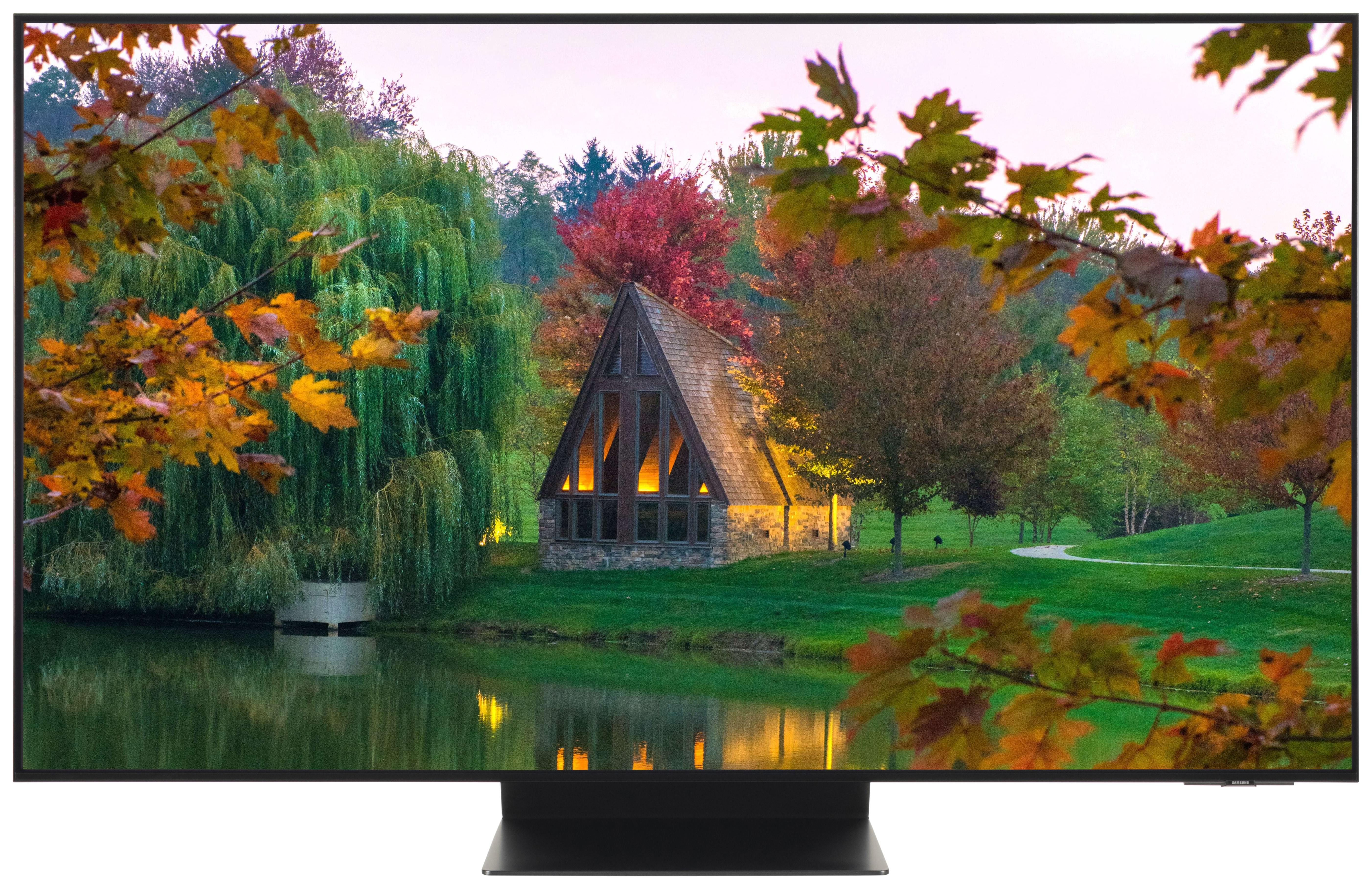 SAMSUNG QE55S95C