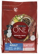 PURINA ONE ADULT MEDIUM/MAXI