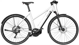 RIESE & MÜLLER ROADSTER4 TOURING PURION 200