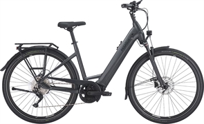 PEGASUS PREMIO EVO 10 LITE 600WH