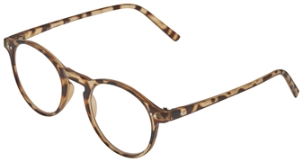 HEMA LUNETTES DE LECTURE EN PLASTIQUE