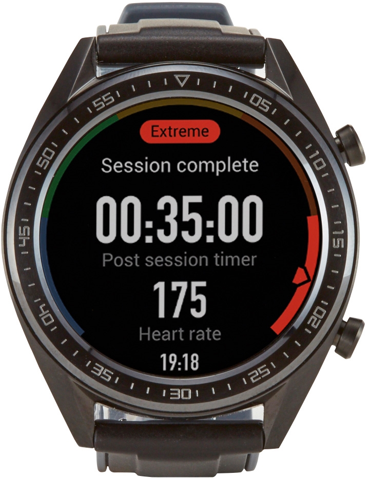 HUAWEI WATCH GT (46 MM)